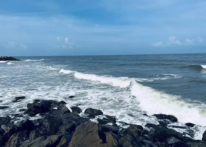 Chameleon Beach